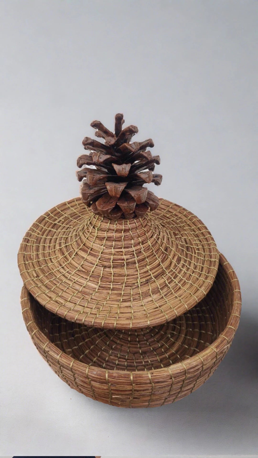 Pine cone box