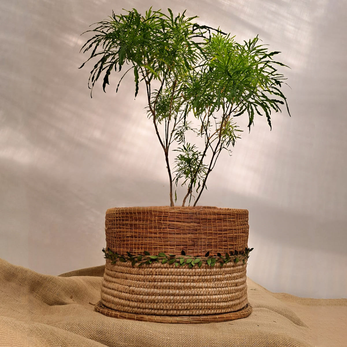 Foliage Planter